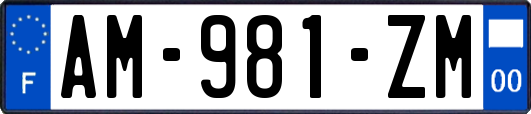 AM-981-ZM