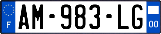AM-983-LG