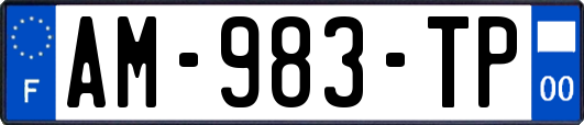 AM-983-TP