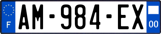 AM-984-EX