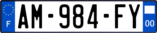 AM-984-FY
