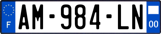 AM-984-LN
