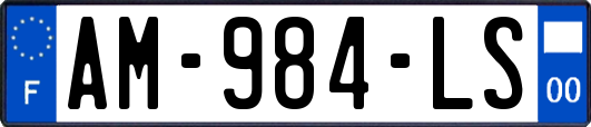 AM-984-LS