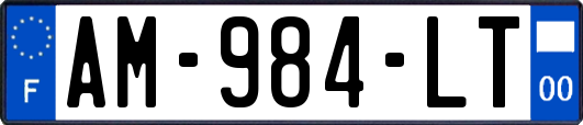 AM-984-LT
