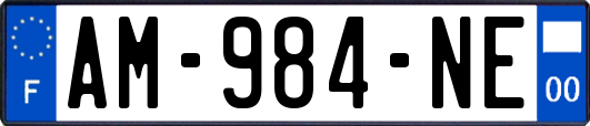 AM-984-NE