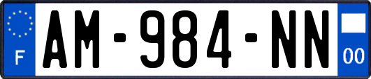 AM-984-NN