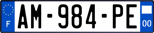 AM-984-PE