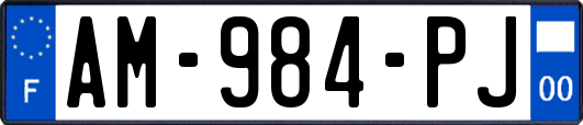 AM-984-PJ