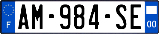 AM-984-SE