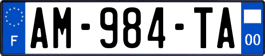 AM-984-TA