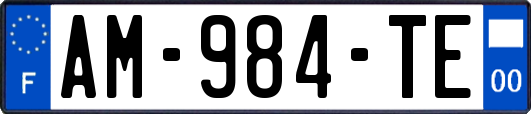 AM-984-TE