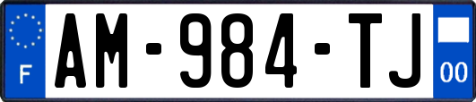 AM-984-TJ
