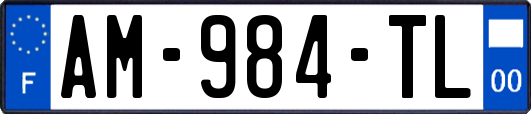 AM-984-TL