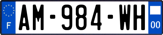AM-984-WH