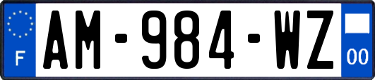 AM-984-WZ