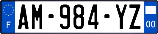 AM-984-YZ