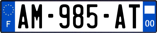 AM-985-AT