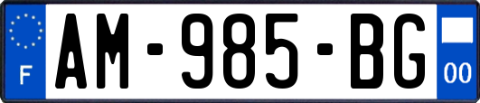 AM-985-BG