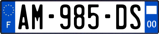 AM-985-DS