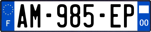 AM-985-EP