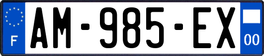 AM-985-EX