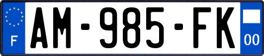 AM-985-FK