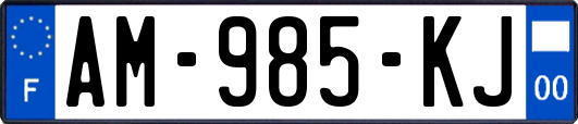 AM-985-KJ
