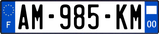AM-985-KM