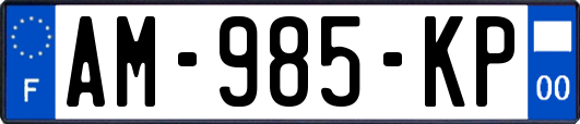 AM-985-KP