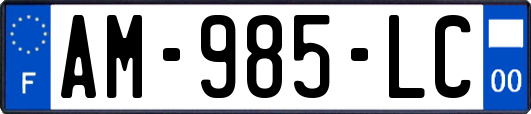 AM-985-LC