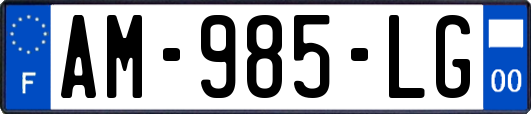 AM-985-LG
