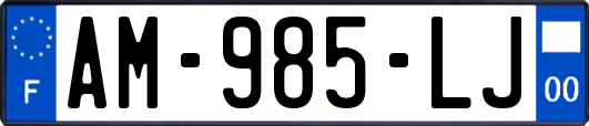 AM-985-LJ