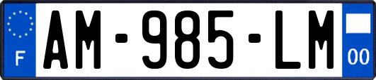 AM-985-LM