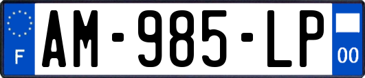 AM-985-LP