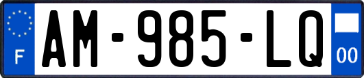 AM-985-LQ