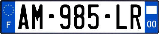 AM-985-LR