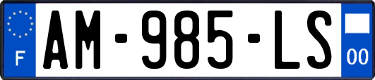 AM-985-LS