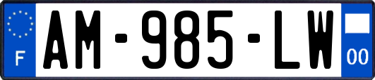 AM-985-LW
