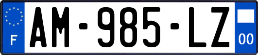 AM-985-LZ