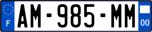 AM-985-MM