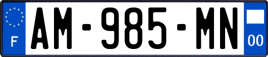 AM-985-MN