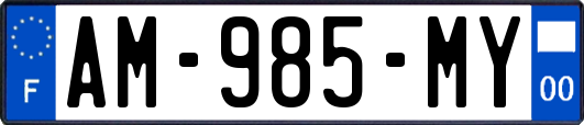 AM-985-MY