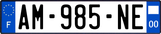 AM-985-NE