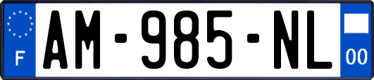 AM-985-NL