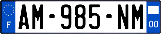 AM-985-NM