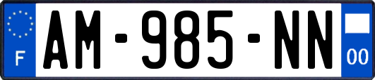 AM-985-NN