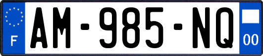 AM-985-NQ