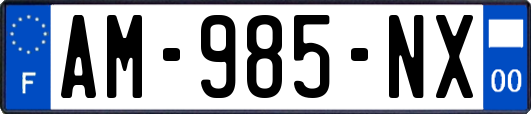 AM-985-NX