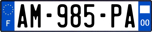 AM-985-PA