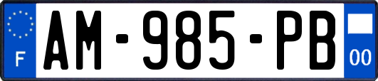 AM-985-PB